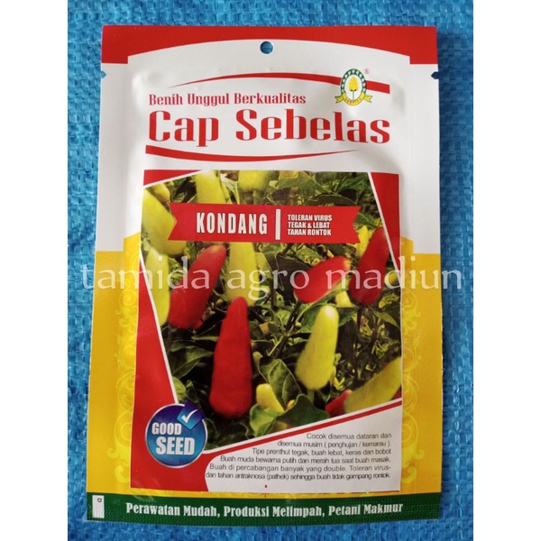 Benih Bibit Cabe Rawit KONDANG Tipe Ori Tegak Tahan Virus