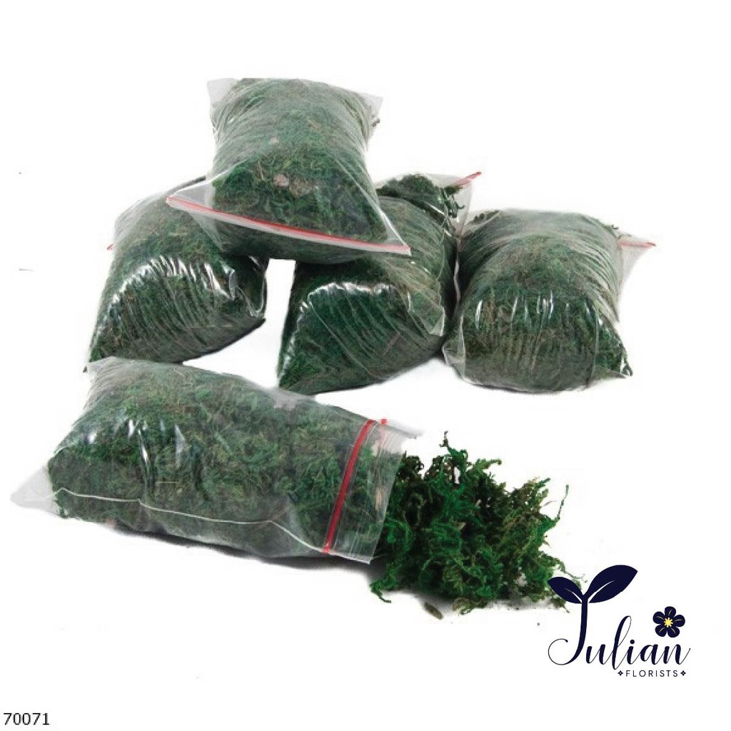 70071 Lumut Artificial 7gr/ Lumut palsu/ Lumut tanaman