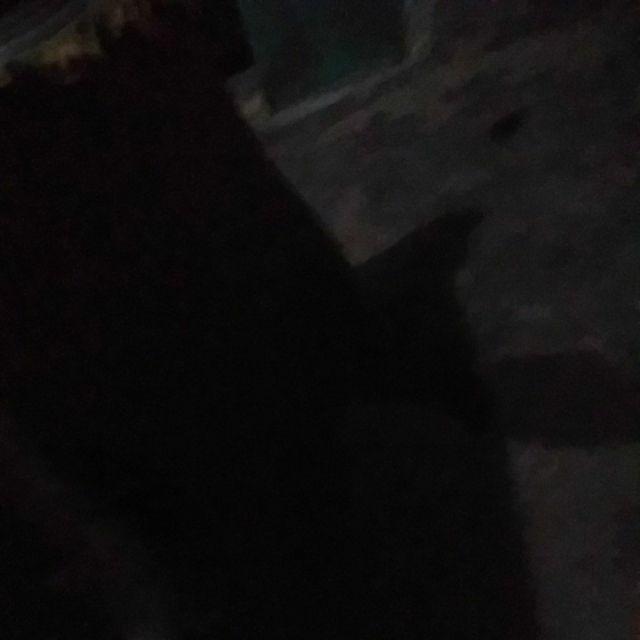 Couple Batik Kebaya Brocade Sarah Cakrawala Lengan Panjang