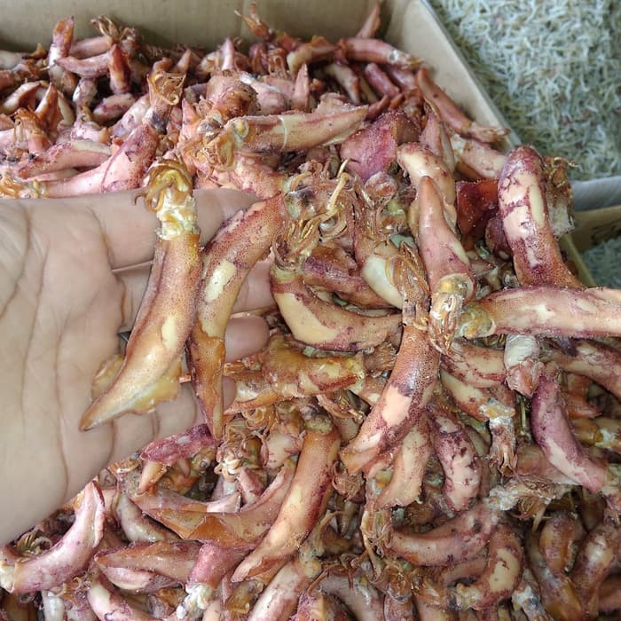 

cumi cumi kering super