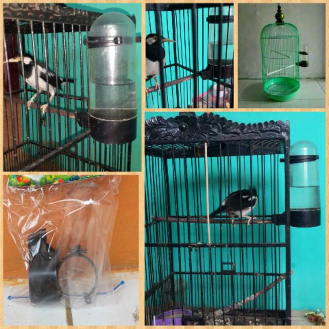 Tempat Minum Burung 500 Mili Untuk Semua Sangkar Shopee Indonesia