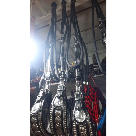 Tali anjing,Tali patik,Tambang anjing,Tali Moro,Tali buru,Kalung anjing