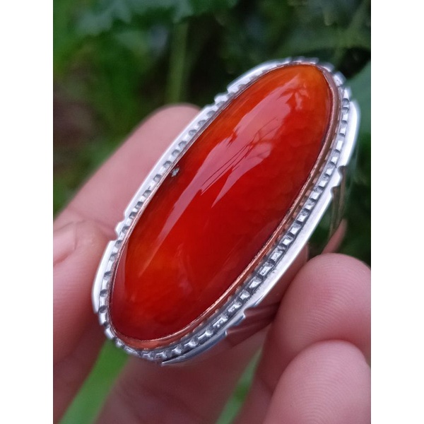 pandan merah sisik betik