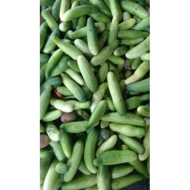 

TIMUN 500 GRAM