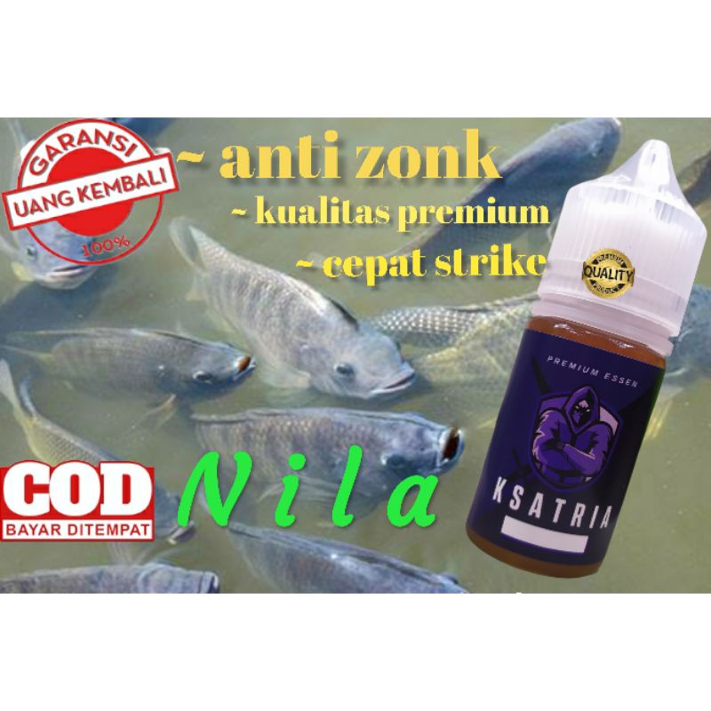 essen ikan nila media lumut dan  pelet