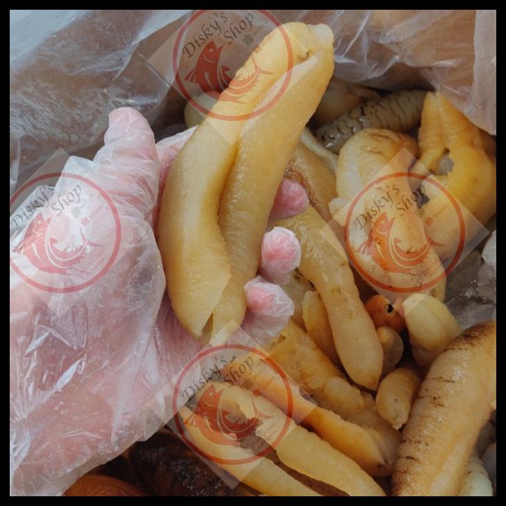 

DISKON TERBATAS !!! HAISIM / TERIPANG / TIMUN LAUT TUTSIM KERING GRADE A +- 10 PCS 100 GR TERLARIS