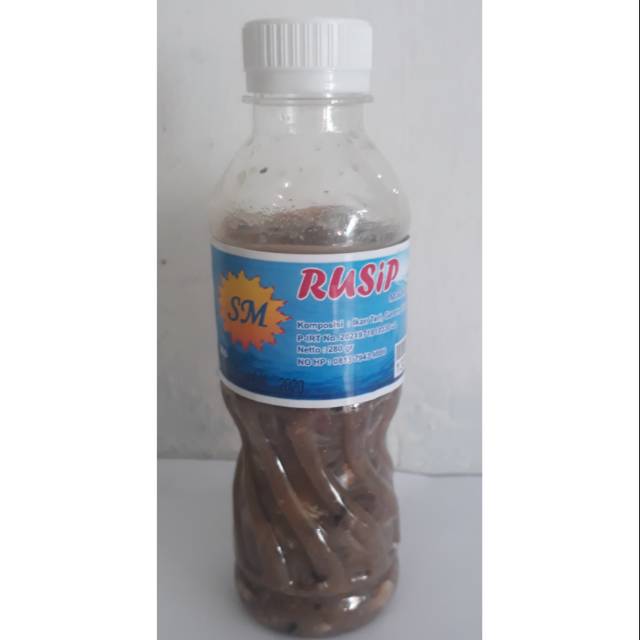 

Rusip SM Bangka