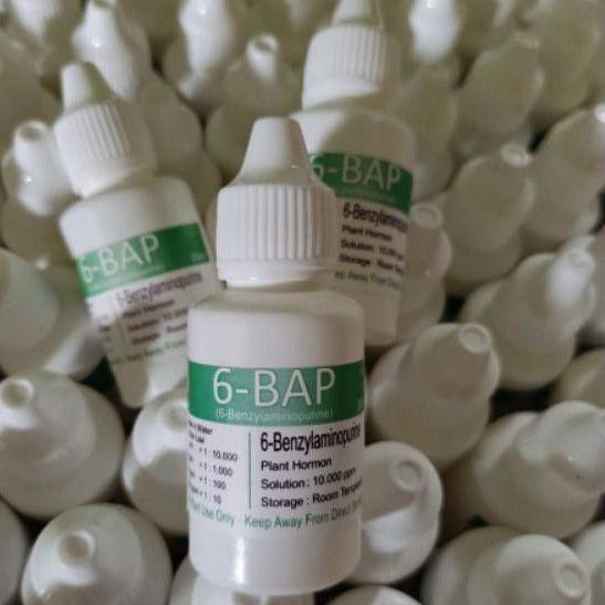 Paling Sesuai.. 6 BAP BENZYLAMINOPURINE PERANGSANG BUNGA ANGGREK DAN PENUMBUH TUNAS
