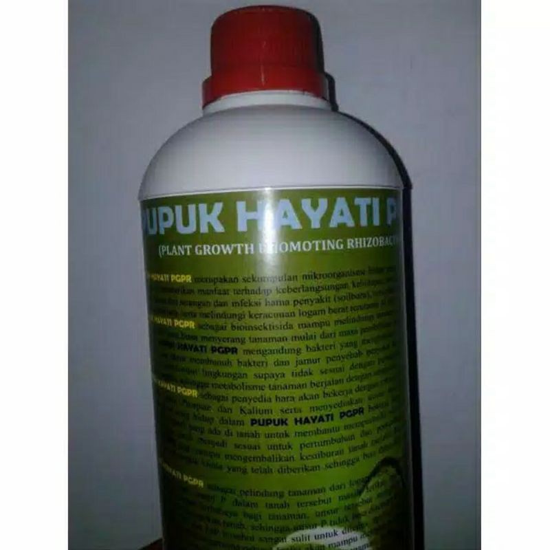 Fusarium oxysporum Cair Siap Aplikasi