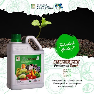 Bioboost Step 1 Asam Humat Organik Untuk Kelapa Sawit Karet Durian Kelengkeng Alpukat Anggur Pete Je