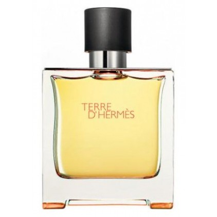 Hermes, Terre D Hermes Man Parfum