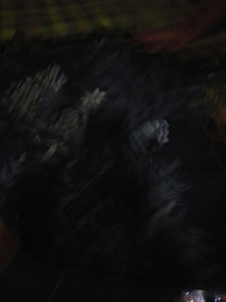 Kemeja Batik Pria Bahan Katun Premium Reguler Fit Prabu E012