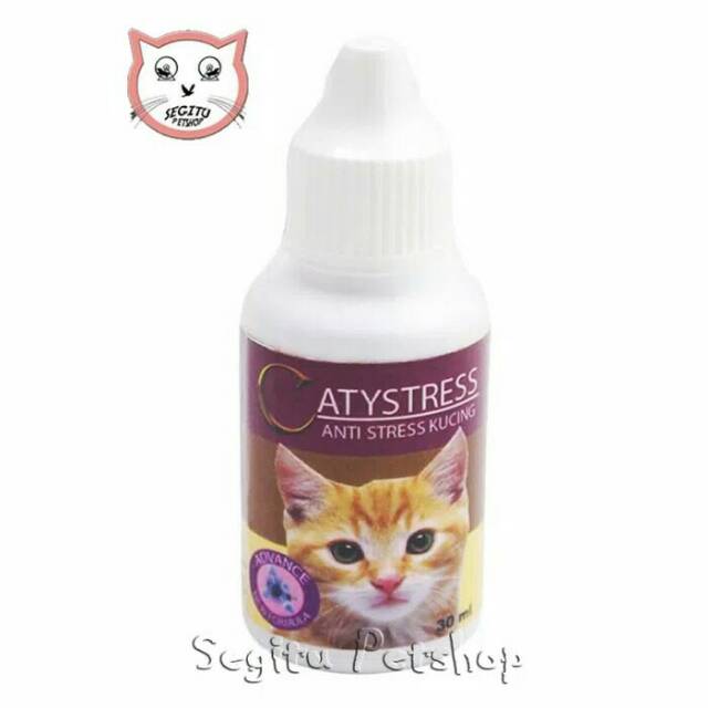 Obat kucing Antistress