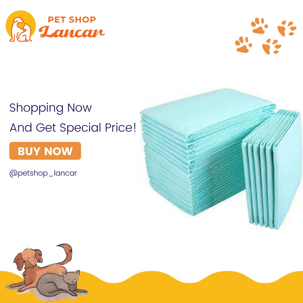 UNDERPAD 60x 60 cm 60x60 Peepad Alas Kencing Pipis Anjing Perlak Bayi