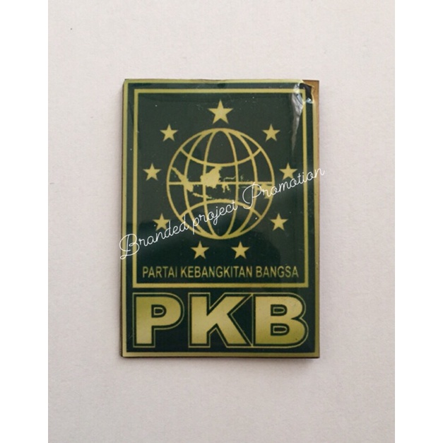 PIN PKB