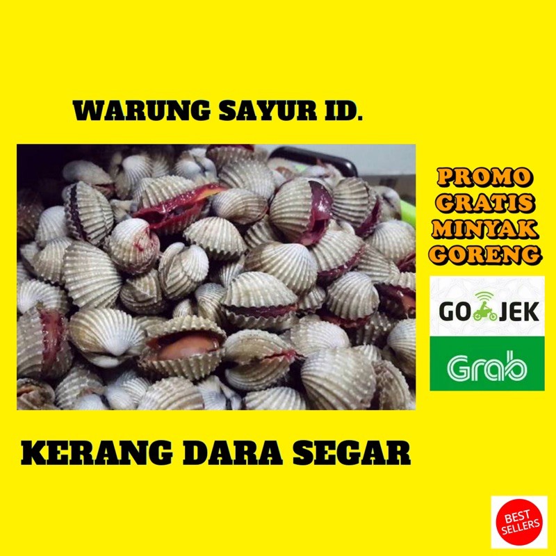 

KERANG DARA SEGAR 500 GRAM