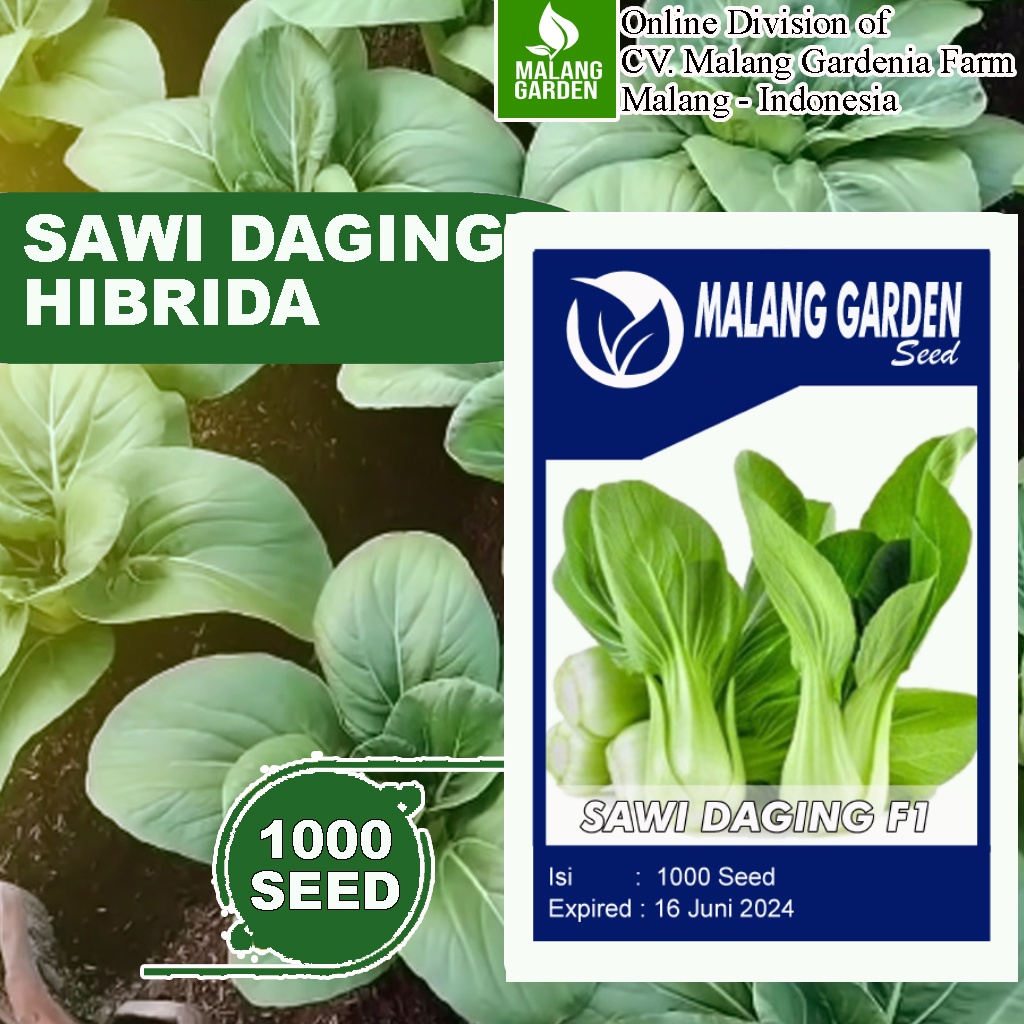 Jual Benih Sawi Daging Hibrida Biji Malang Garden Seed Benih Sawi Daging Sawi Pakchoy