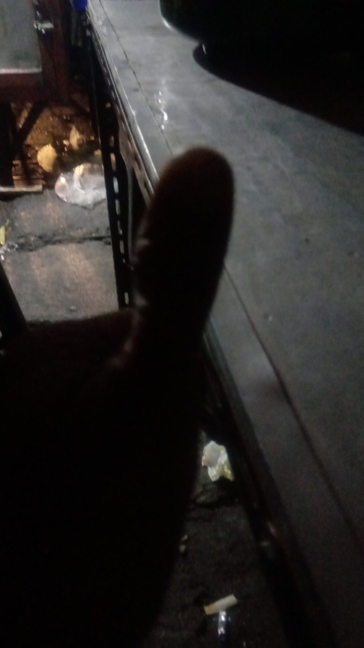 Kasur Lipat Inoac 200x90x10 Cm