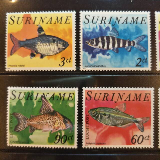 

Loose Stamp Perangko Ikan Hias Suriname - 1978 - Prangko Koleksi
