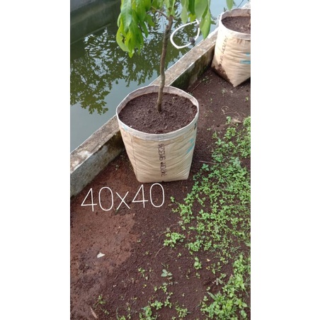 NOBLEN POLYBAG UKURAN 40X40