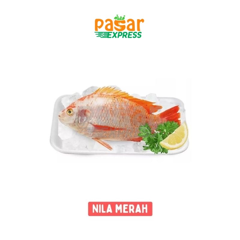 

[Pasar Express] Ikan Nila Merah Per Kg / Ikan Segar