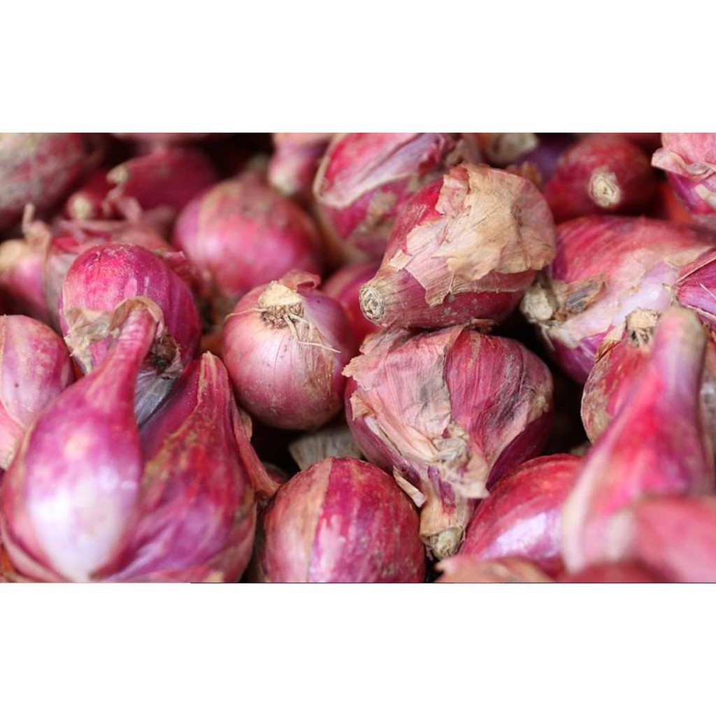 

Bawang Merah 250 gram