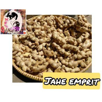 

Jahe emprit segar 1kg