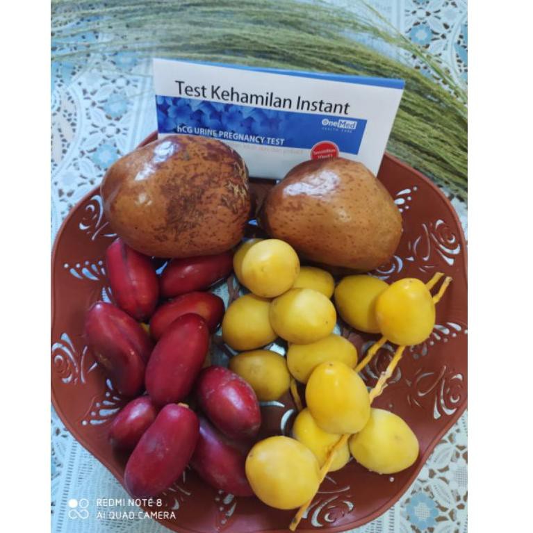 

Ekom0miz KURMA MUDA & BUAH ZURIAT PROMIL TERLARIS C0de@v6 Kekini1an
