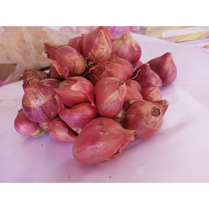 

bawang merah