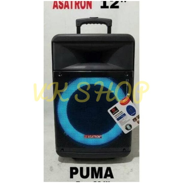 Speaker Portable Meeting Wireless Asatron Puma 12inch