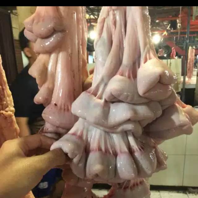 

Usus sapi/iso @500 gram