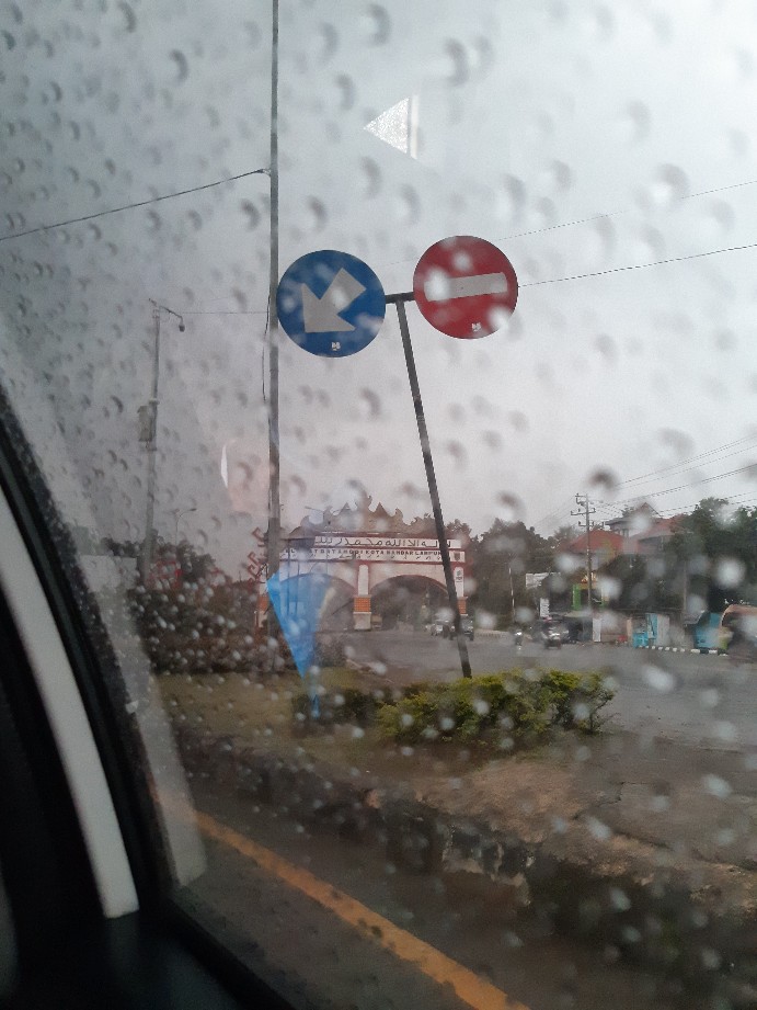 Tanaman Hias Bunga Krisan Pot Isi 5, 1 Warna