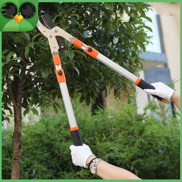 Gunting dahan pohon ranting gagang panjang gunting ranting tajam