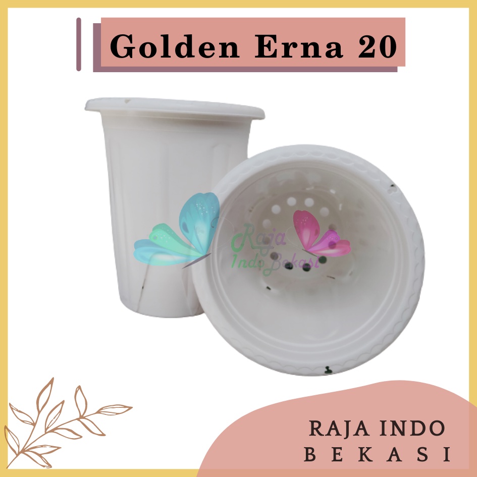 Rajaindobekasi Pot Golden Erna 20 Putih - Pot Yogap 18 19 25 Murah