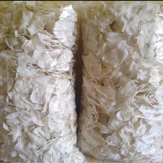 

Piscoklegit_ Kripik Singkong Mentah Berasa Seperti Gadung Isi 1000 Gram