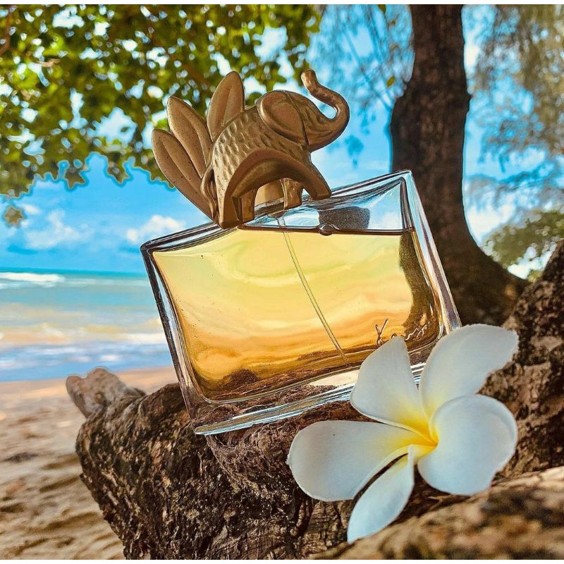 Parfum Wanita Kenzo L 'Elephant Edp