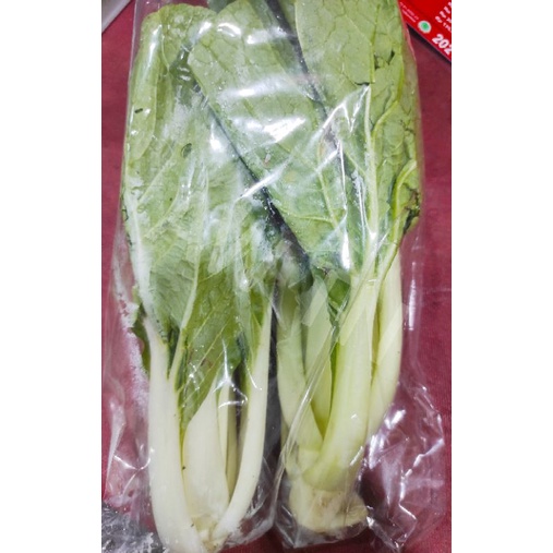 pakchoi putih segar