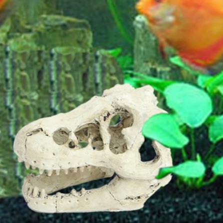 Dinosaurus Tengkorak Hiasan Akuarium Fosil Dekorasi Ornamen Aquarium