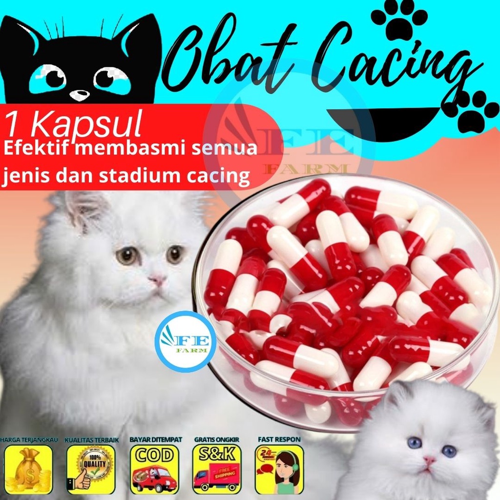 Obat Cacing kucing Jual Perbutir (10 butir 10 pcs atau 10 kapsul)