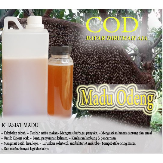 Madu Odeng Asli Hutan Baduy - Madu Manis Murni Suku Baduy 100% ASLI2