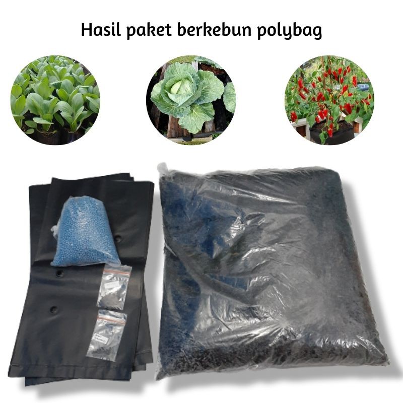 Paket berkebun polybag lengkap sampai panen