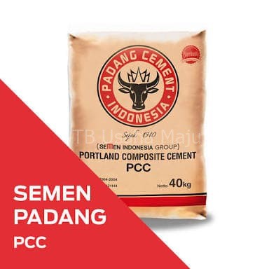 Semen padang