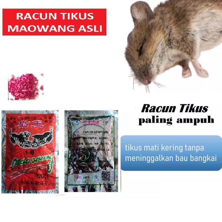 Racun Tikus Mao Wang Beras Merah Di Jamin Ampuh Maowang Racun Tikus Mati Kering dan Tidak Bau - Racun Tikus Ampuh Basmi Hama Tikus