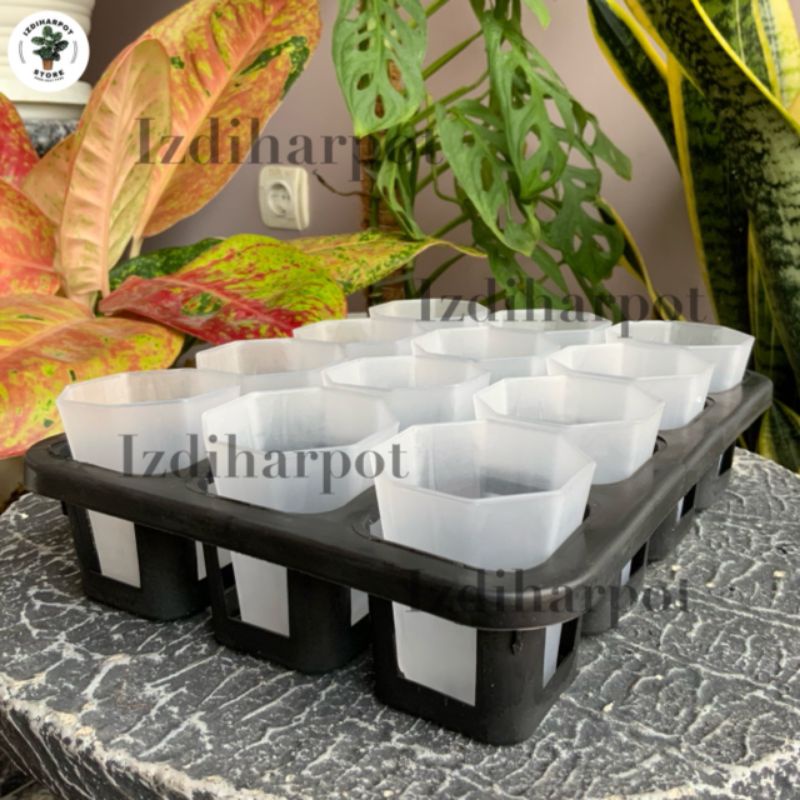 1 set tray + POT NKT PAGODA 5CM BENING TRANSPARAN | tray semai bibit