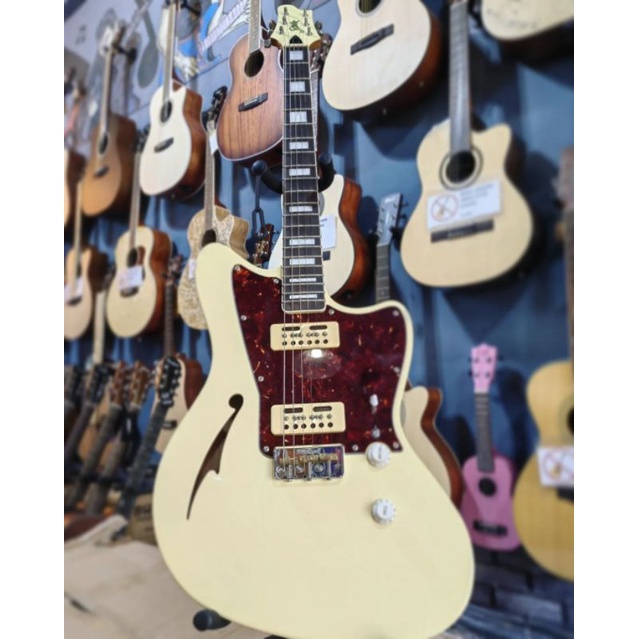 Gitar Radix Telemaster Vintage White with Gigbag