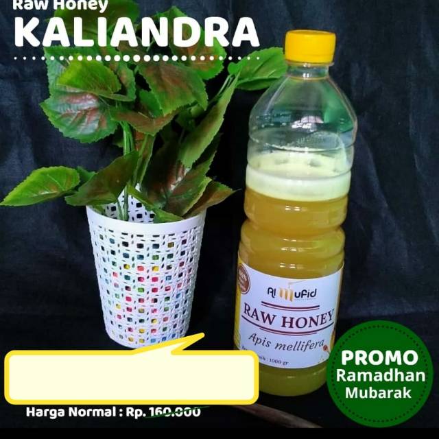 

Madu murni asli kaliandra by al mufid