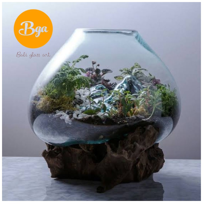 AKUARIUM IKAN CUPANG / AQUASCAPE / AQUARIUM UNIK GLASSWOOD potkacatiup | Shopee Indonesia