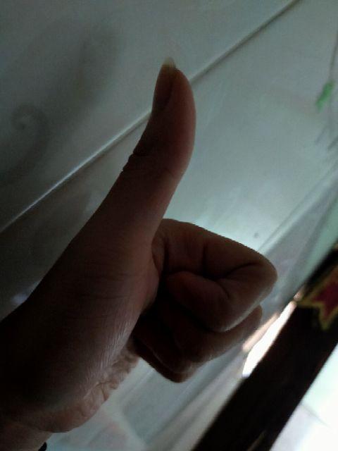 1 Pc | Grendel Gudang Camel 2 / 3 Inch / Kunci Slot Pintu