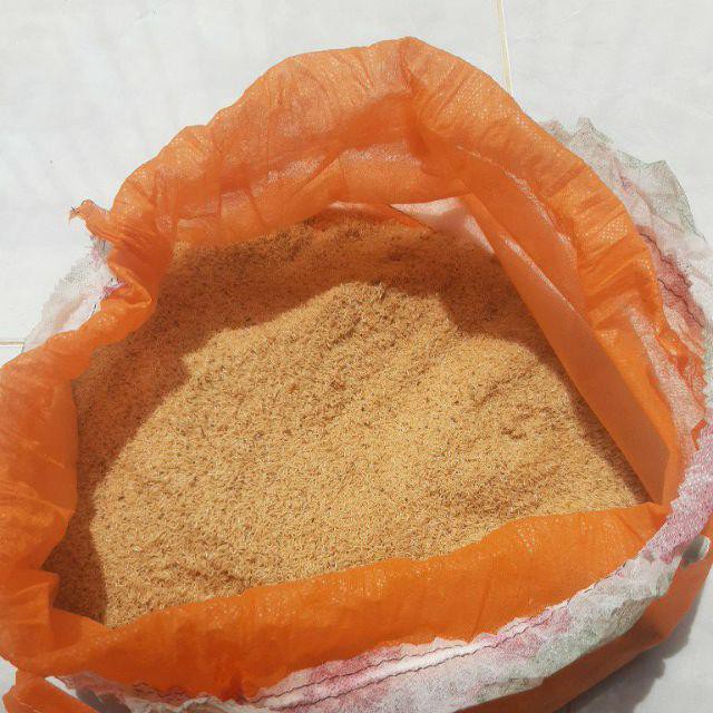 Bibit Jangkrik Alam Ready Budidaya Jangkrik 1kg