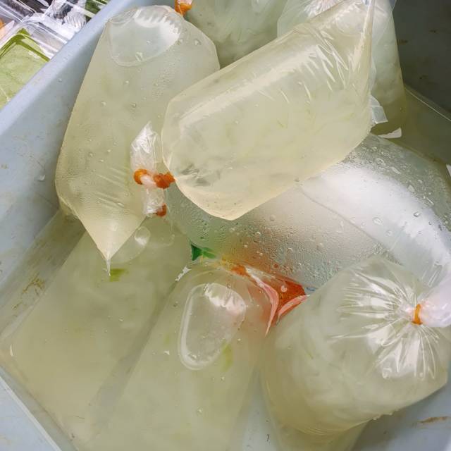 

ES LIDAH BUAYA / ALOE VERA ASLI